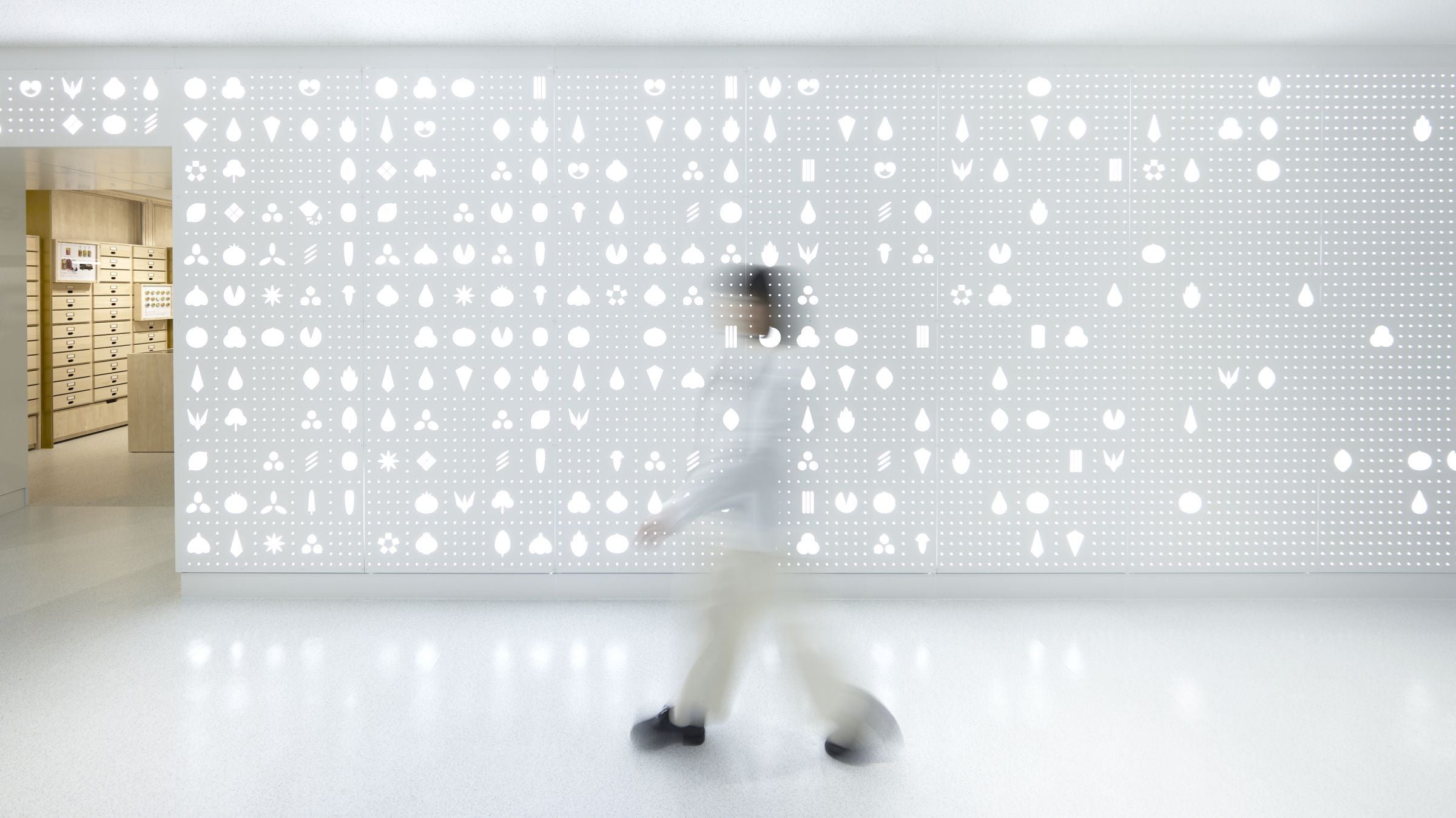 八幡屋礒五郎　CEVEN LAB2